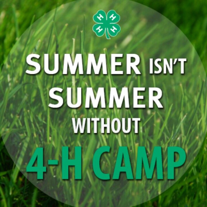 4h summer camp banner