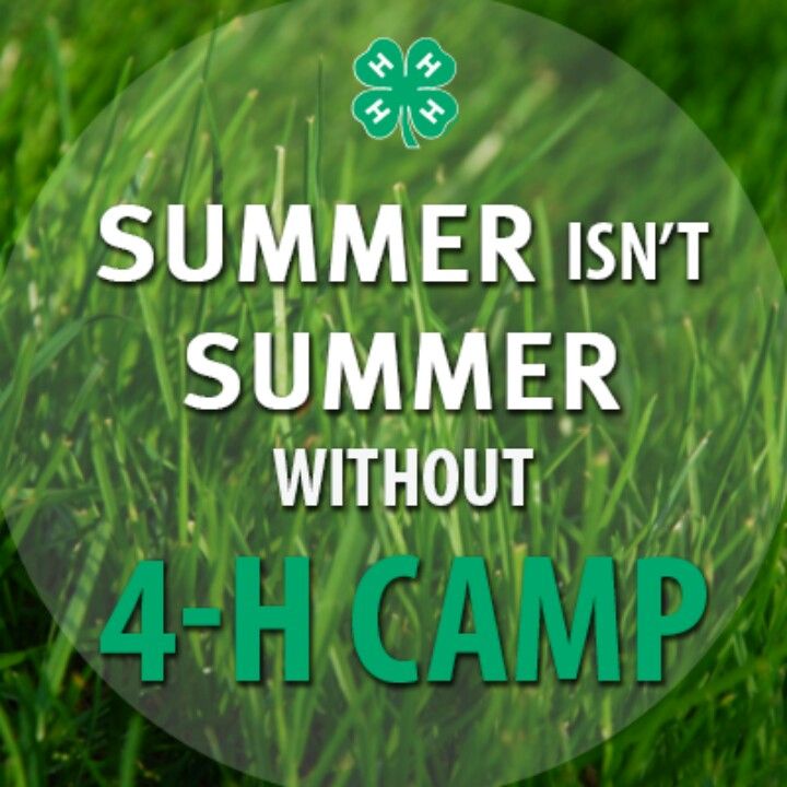 4h Camp Tennessee 2025