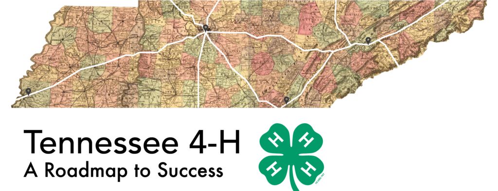 4-H Youth Development | Madison County