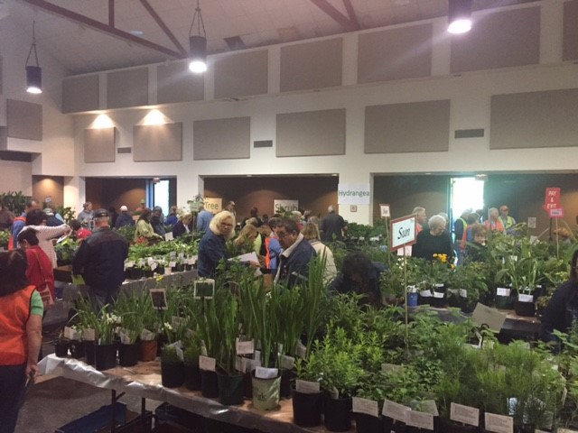 master gardener members at plant sale