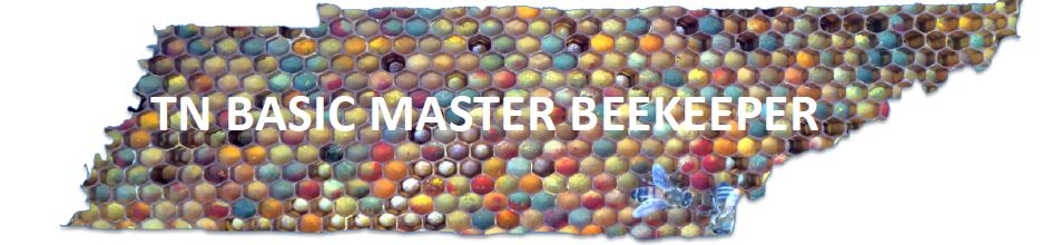 Basic Master Beekeeper