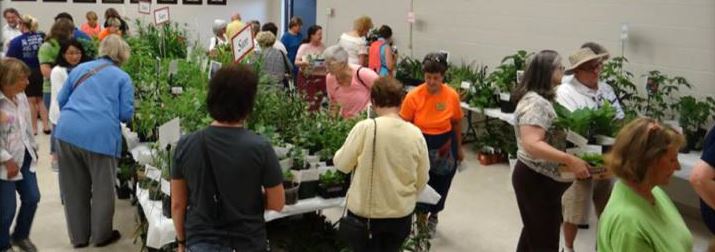 Customer lining up to shop in the spring plant sale